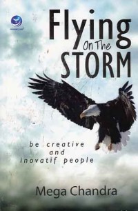 Image of Flying On The Storm