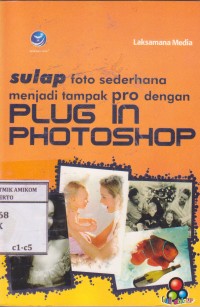 Image of Sulap Foto Sederhana Menjadi Tampak Pro dengan Plug In Photoshop