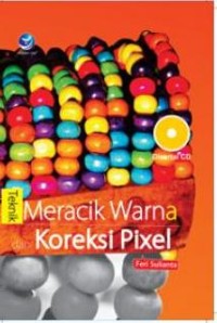 Image of Teknik Meracik warna dan koreksi Pixel
