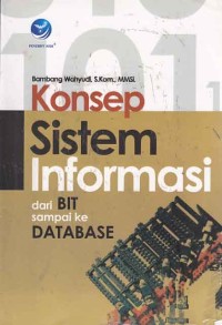 Image of Konsep sistem informasi dari Bit sampai ke database