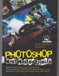 Image of Photoshop Most Wanted Effects